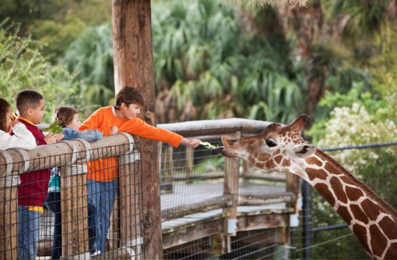 plus grand zoo europe